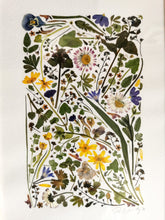 Indlæs billede til gallerivisning En Græsplæne, pressede blomster 21x30 cm (A4)